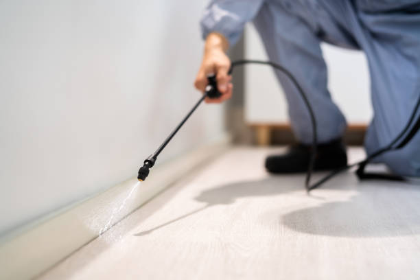 Professional exterminator conducting IPM assessment in Leachville