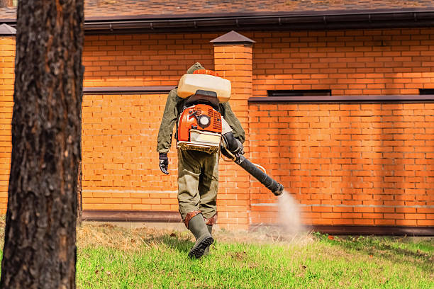 Top rated local Wasp Removal specialists in Leachville, AR